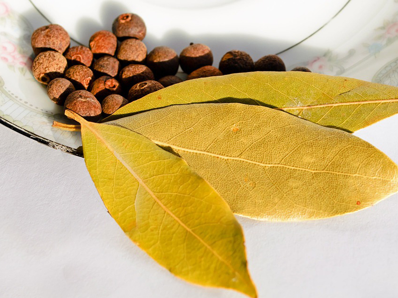 Bay leaves